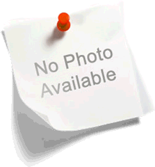 v23077d1005a402 rele